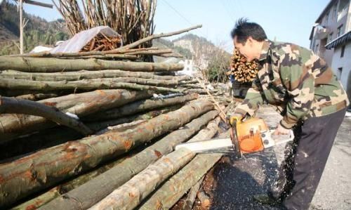 粉木耳什么意思，种植木耳用什么原材料图3