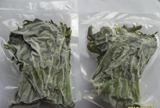 香椿芽怎么保存才新鲜，香椿芽怎样保存到冬天吃图3