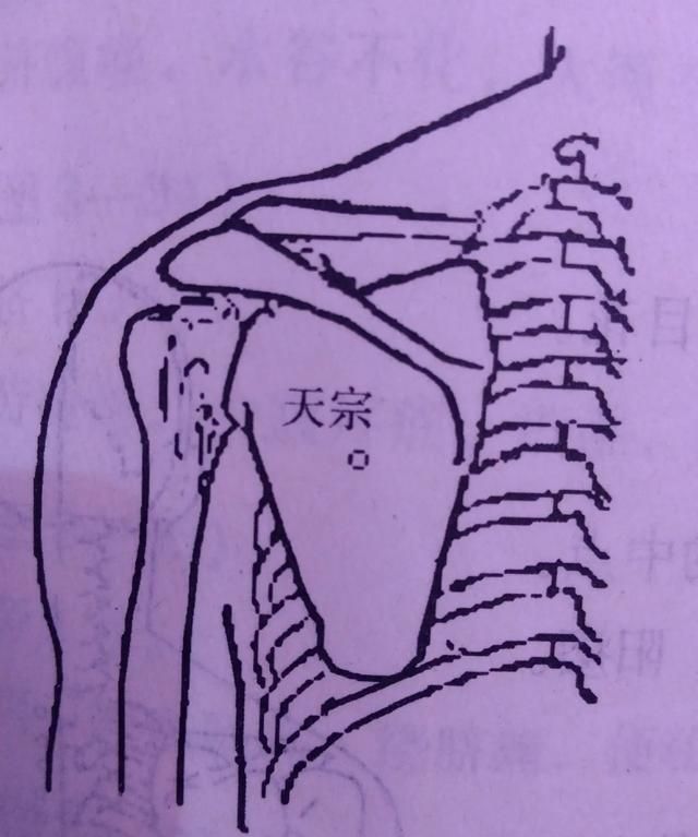 人体腰背部主要穴位有哪些图2