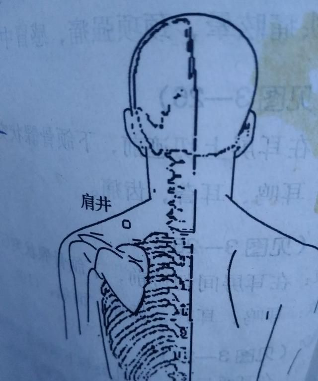 人体腰背部主要穴位有哪些图4