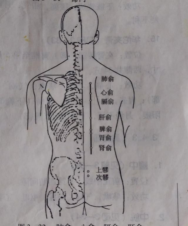 人体腰背部主要穴位有哪些图5
