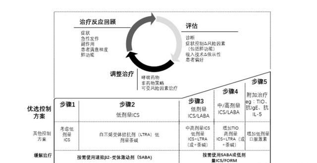 哮喘吸入舒利迭如何减量图3