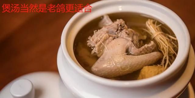 乳鸽的营养价值，乳鸽和老鸽的营养价值区别图3