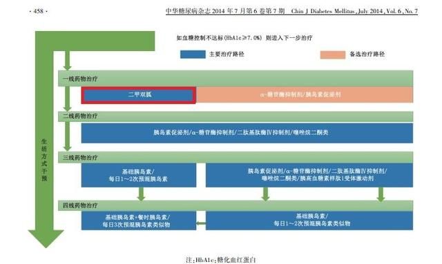 二甲双胍作用，二甲双胍到底有什么作用图7