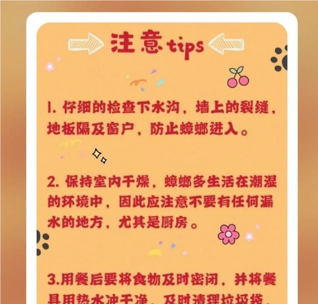 家里有蟑螂和不知道的小虫，怎么安全的消灭它们坐标深圳高层住宅图3