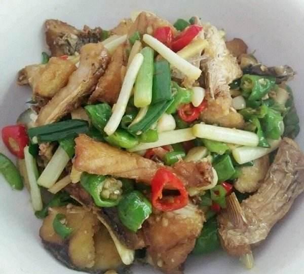 鱼鳔的作用鱼泡的作用图11