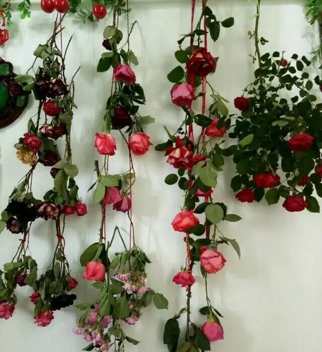 怎样把鲜花变成干花图6