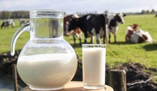 什么牛奶有助于长高，纯牛奶什么时候喝最有助于长高图11
