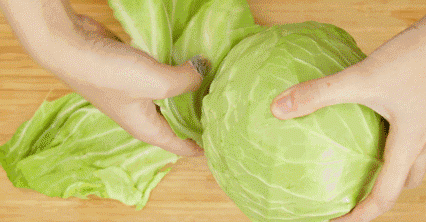 包菜炒肉，包菜粉丝炒肉的做法图6