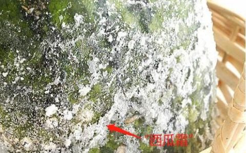 西瓜皮做菜，西瓜皮怎么做菜才好吃