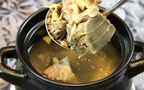 甲鱼配什么炖汤好喝