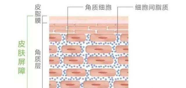 十大美白淡斑护肤产品图5