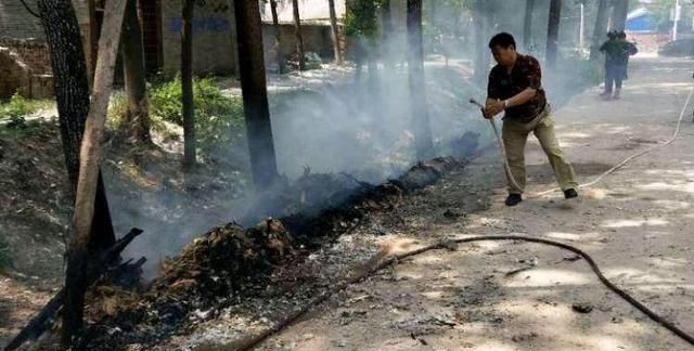 中国现在去哪里旅游可能没有杨树毛和柳絮各地的朋友说说吧图9