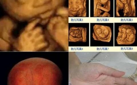 怀孕三个月胎儿图，怀孕7个月胎儿头在哪里图片
