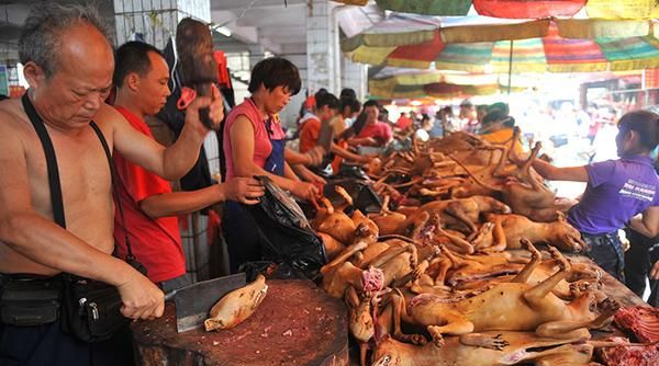 荔枝狗肉节，玉林的荔枝狗肉节是什么时候图1