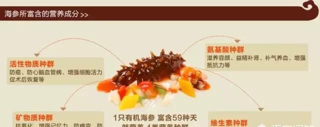 养生美容粥，吃什么可以养生美容图2