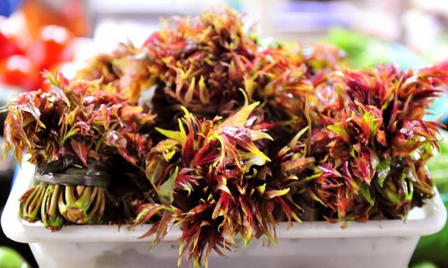 春芽炒鸡蛋做法，香椿除了炒鸡蛋还能做什么图23