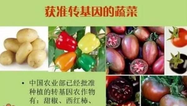 转基因食品的利与弊，转基因食品究竟能不能吃图2