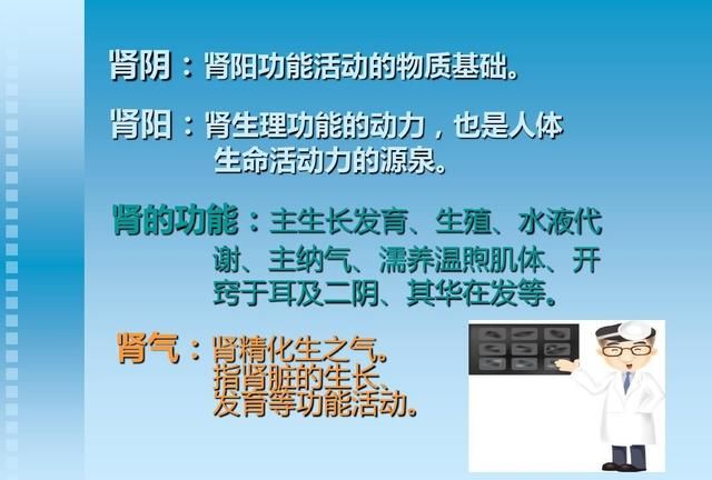桂附地黄丸和金匮肾气丸的作用与功效图2
