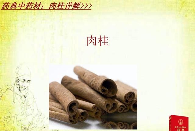 桂附地黄丸和金匮肾气丸的作用与功效图4