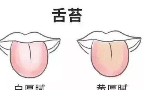 如何减掉大肚腩，有什么办法快速减掉大肚腩