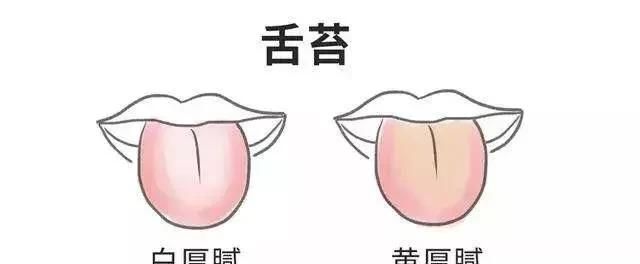 如何减掉大肚腩，有什么办法快速减掉大肚腩图1