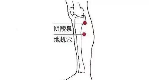 如何减掉大肚腩，有什么办法快速减掉大肚腩图13