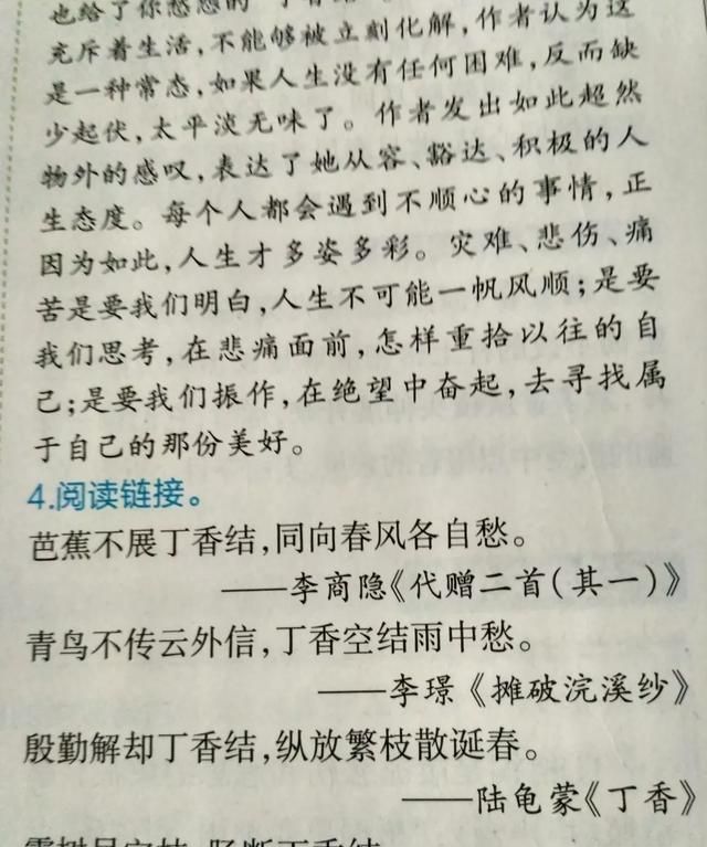 丁香结的本意是什么￼为什么图1