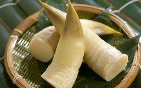 春笋的营养价值及功效与禁忌：吃春笋是怎样的体验？