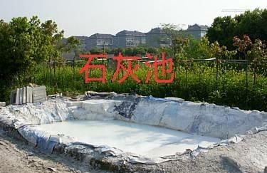 小时候在农村，你吃过石灰煮鸡蛋吗？(石灰水蒸蛋)图7