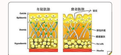 柠檬蜂蜜鸡蛋清能美白图2