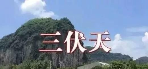 农村老人说：“头伏萝卜，二伏菜”，今年啥时候是头伏“伏”是怎样计算出来的图10