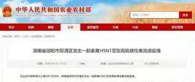 h5n6，四川发生h5n6禽流感疫情图4