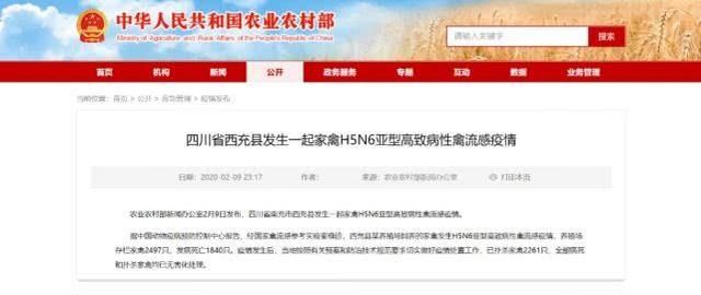 h5n6，四川发生h5n6禽流感疫情图7