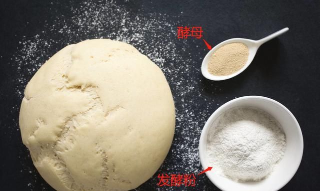 发酵粉是什么，发面用酵母粉好还是用酵头好图5