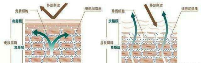 柔肤水的作用，精华水柔肤水护肤水爽肤水有什么区别图10