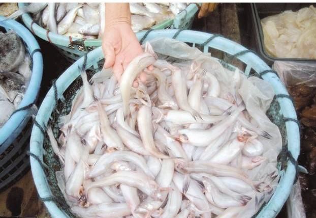 海鲜干货，厦门海鲜特产干货有哪些图29