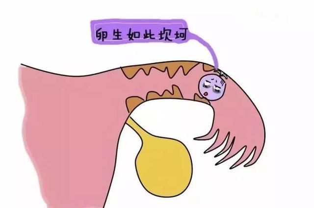 验孕棒测出来是图9