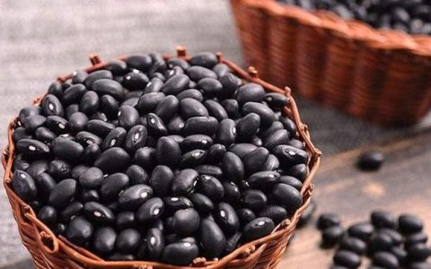 黑豆好种植吗