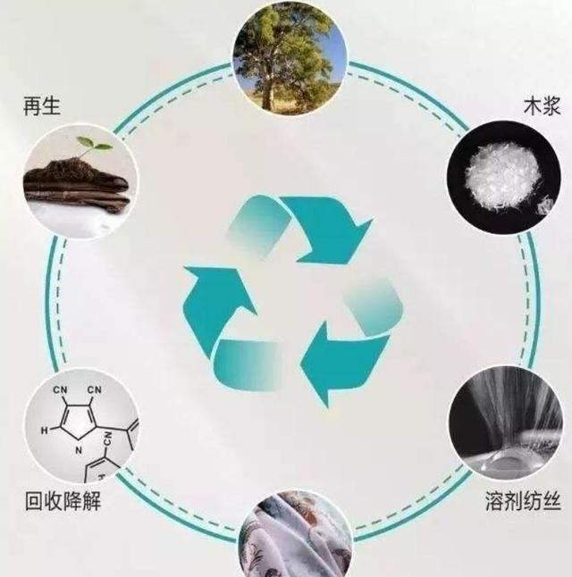 再生纤维素纤维图1