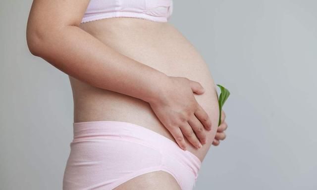 16周胎儿生殖部分男女看不清图5