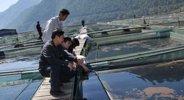水产养殖该补充什么钙什么镁图1