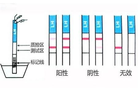 验孕棒一条深一条浅，验孕棒测出一条深一条浅是怀孕了吗图3