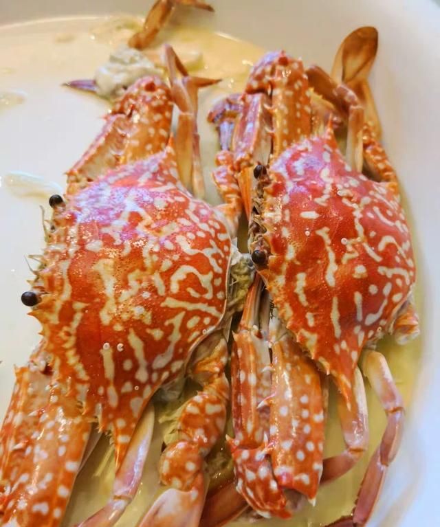 刚死三个小时的螃蟹能吃吗图4