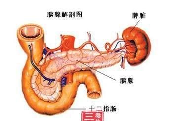 痔疮发作，痔疮在什么情况下容易发作图1