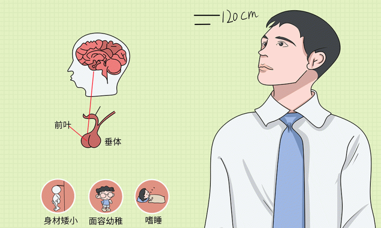 激素检测，什么是生长激素检查图3