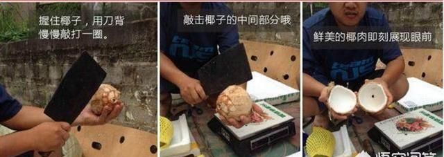 口香糖开椰子，口香糖砸椰子的原理是什么图7