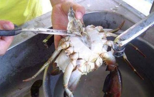螃蟹的清洗，螃蟹怎么清洗和处理图1