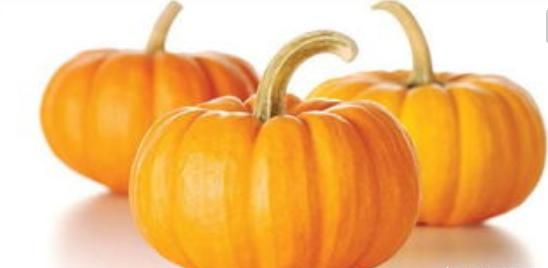 南瓜的营养价值图5