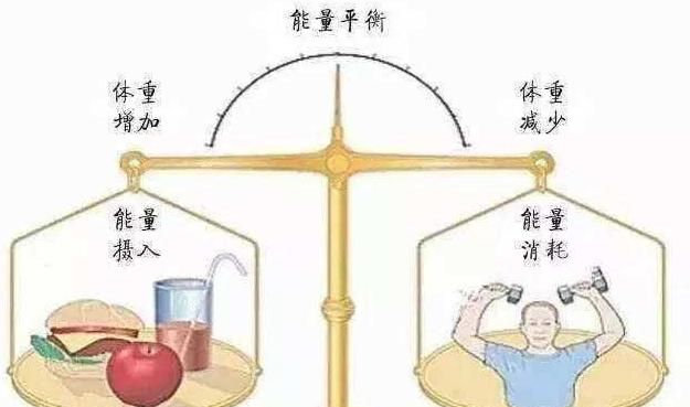 苹果减肥的正确方法，苹果减肥法真的有效吗图2